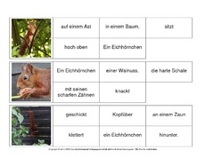 Sätze-bilden-Eichhörnchen 9.pdf